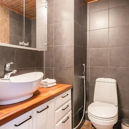 Historical Loft With Sauna & Free Parking, Hosts Up To 7 Guests